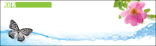Single Image